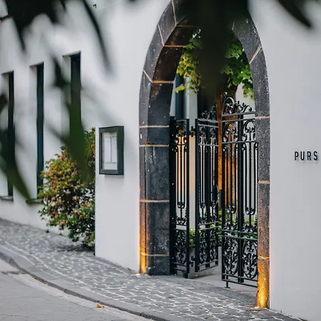 Purs Andernach